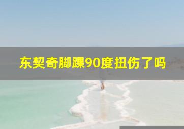 东契奇脚踝90度扭伤了吗