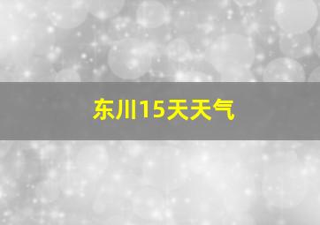 东川15天天气