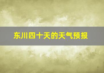 东川四十天的天气预报