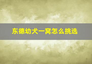 东德幼犬一窝怎么挑选