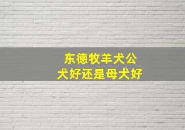 东德牧羊犬公犬好还是母犬好