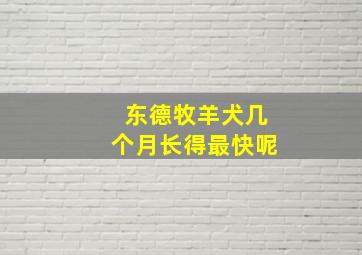 东德牧羊犬几个月长得最快呢