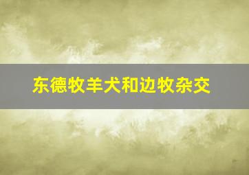 东德牧羊犬和边牧杂交