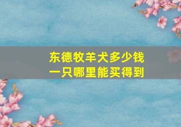 东德牧羊犬多少钱一只哪里能买得到