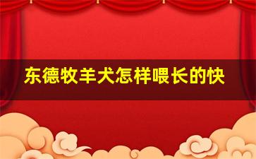 东德牧羊犬怎样喂长的快