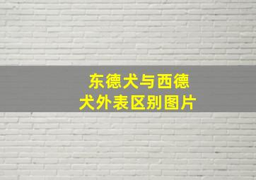 东德犬与西德犬外表区别图片