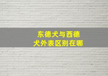 东德犬与西德犬外表区别在哪