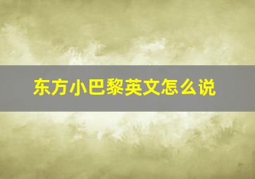 东方小巴黎英文怎么说