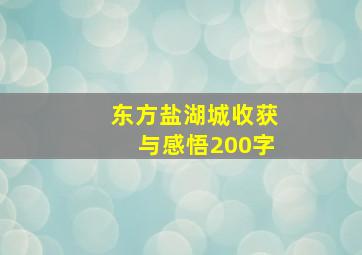 东方盐湖城收获与感悟200字