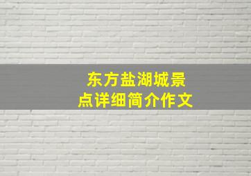 东方盐湖城景点详细简介作文