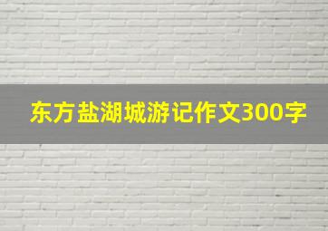 东方盐湖城游记作文300字