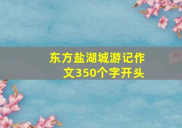 东方盐湖城游记作文350个字开头