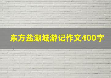 东方盐湖城游记作文400字