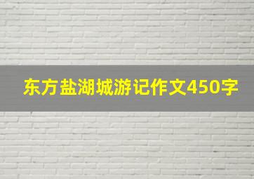 东方盐湖城游记作文450字