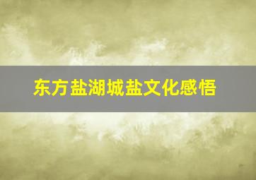 东方盐湖城盐文化感悟