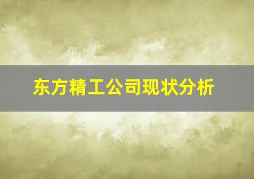 东方精工公司现状分析