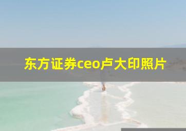 东方证券ceo卢大印照片