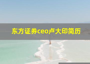 东方证券ceo卢大印简历