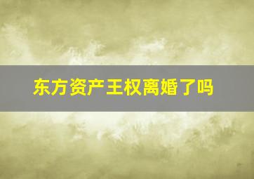 东方资产王权离婚了吗