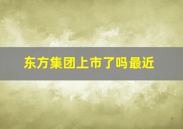 东方集团上市了吗最近