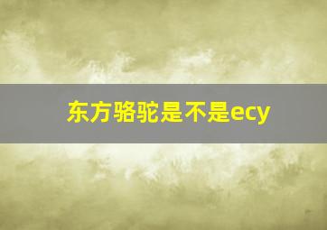 东方骆驼是不是ecy