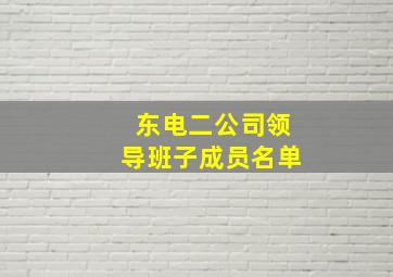 东电二公司领导班子成员名单