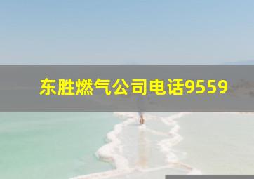 东胜燃气公司电话9559