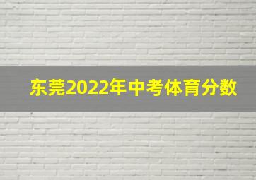 东莞2022年中考体育分数