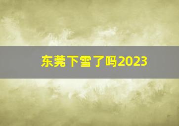 东莞下雪了吗2023