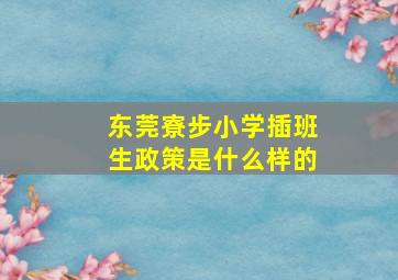 东莞寮步小学插班生政策是什么样的