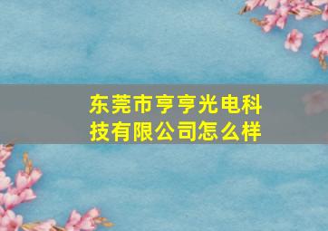 东莞市亨亨光电科技有限公司怎么样