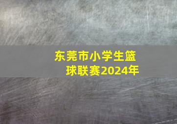 东莞市小学生篮球联赛2024年