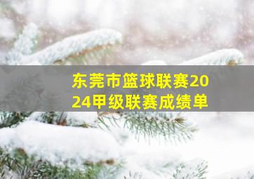 东莞市篮球联赛2024甲级联赛成绩单