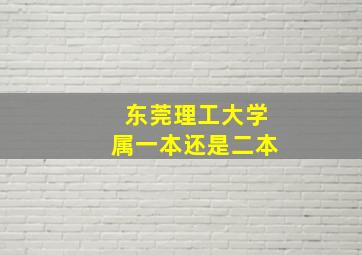 东莞理工大学属一本还是二本