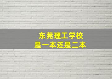 东莞理工学校是一本还是二本