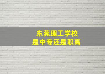 东莞理工学校是中专还是职高