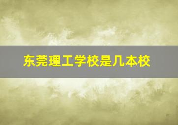 东莞理工学校是几本校