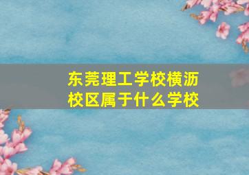 东莞理工学校横沥校区属于什么学校