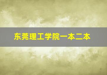 东莞理工学院一本二本