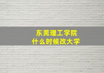 东莞理工学院什么时候改大学