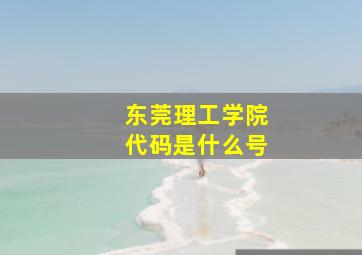 东莞理工学院代码是什么号