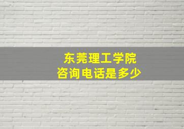 东莞理工学院咨询电话是多少