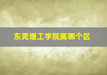 东莞理工学院属哪个区