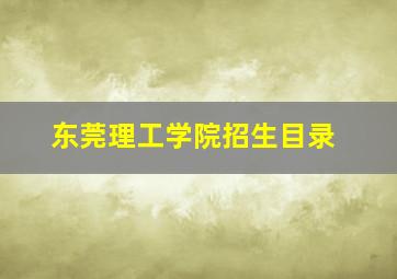 东莞理工学院招生目录