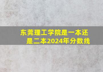 东莞理工学院是一本还是二本2024年分数线