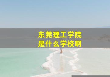 东莞理工学院是什么学校啊