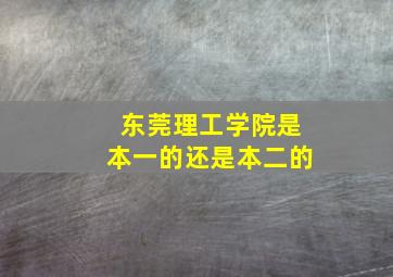 东莞理工学院是本一的还是本二的