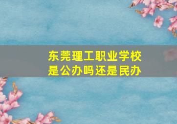 东莞理工职业学校是公办吗还是民办