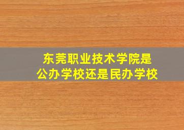 东莞职业技术学院是公办学校还是民办学校