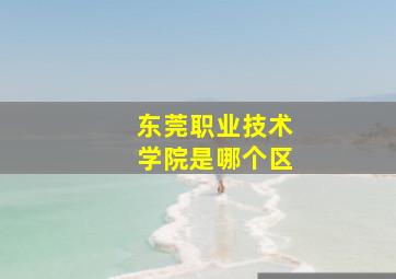 东莞职业技术学院是哪个区